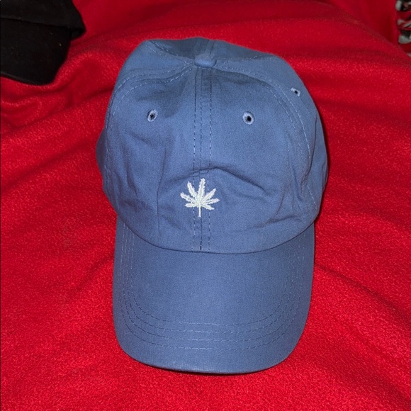 Blue Embroidered Cap - Picture 1 of 5